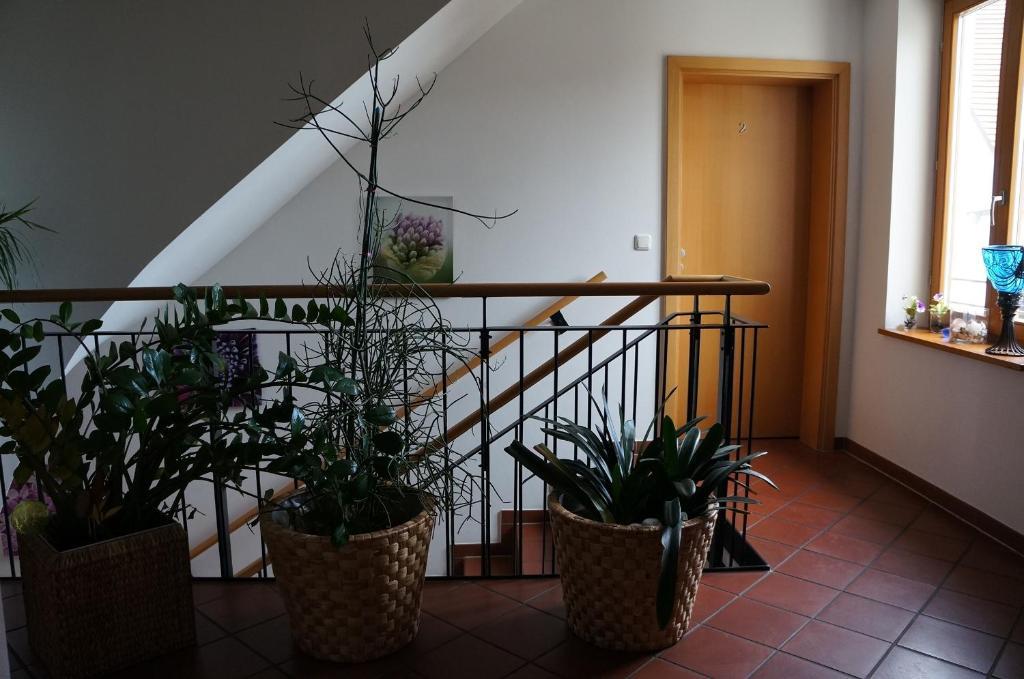 Gasthof Zur Post Neunkirchen am Brand ภายนอก รูปภาพ